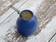 Ostrokrzew paragwajski - popularny napój yerba mate